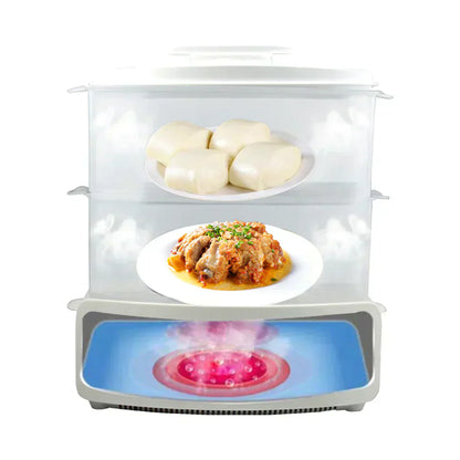 Electric Steamer and Defroster